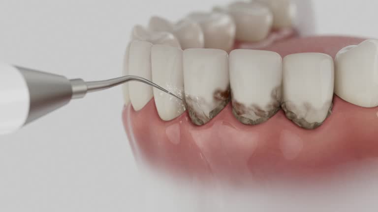 Reliable Dental contractor in Hamilton County County, IL by Dentist Open Now